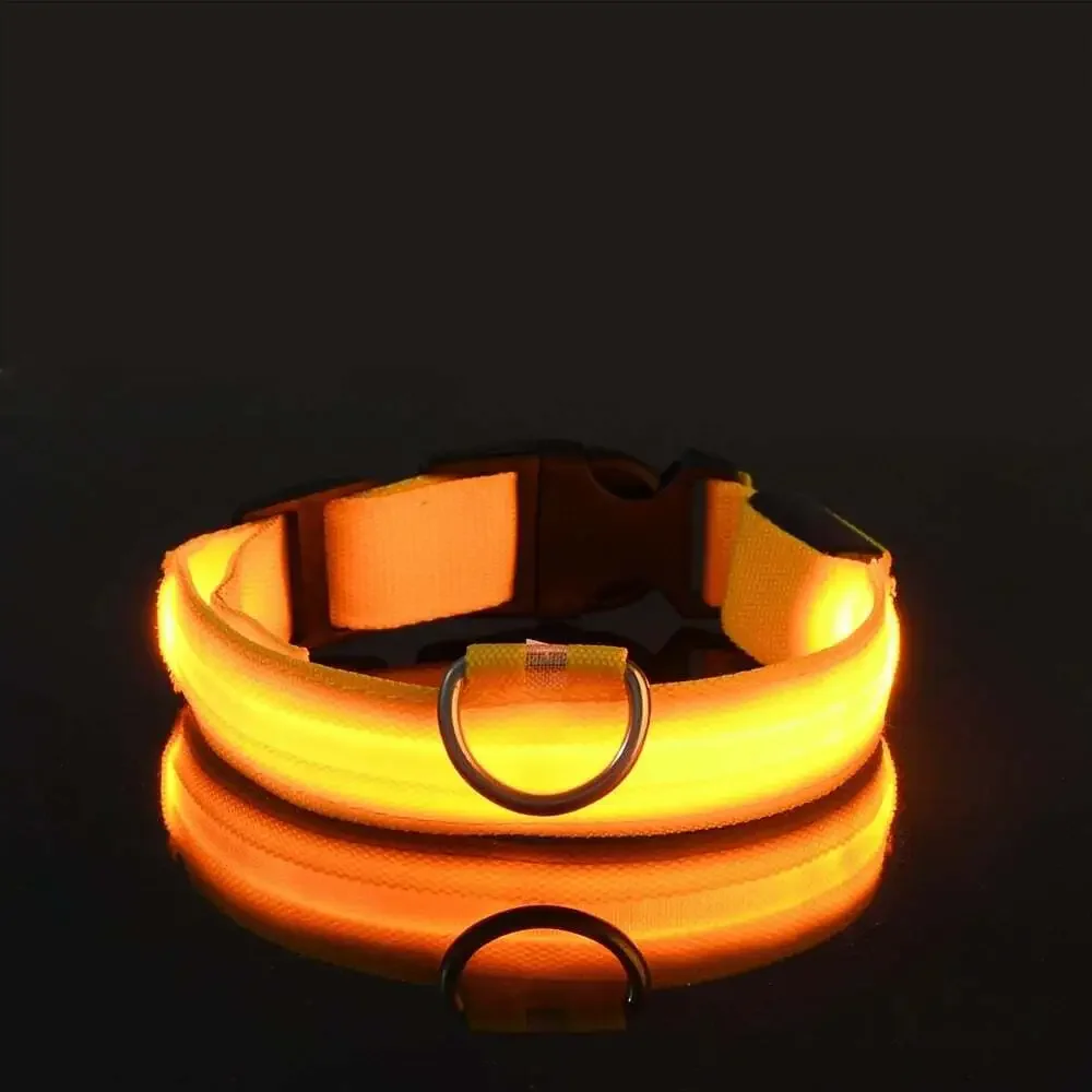 Nylon LED Night Safety Flashing Glow in the Dark Dog Leash Dogs Luminous Fluores